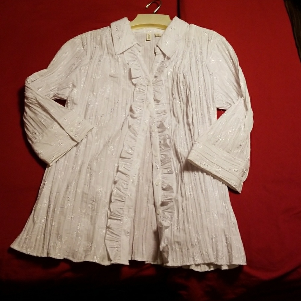 Embroidered button down blouse.